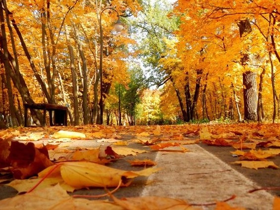 ابىلاي ماۋدانوۆ.  كۇز سۋرەتتەرى