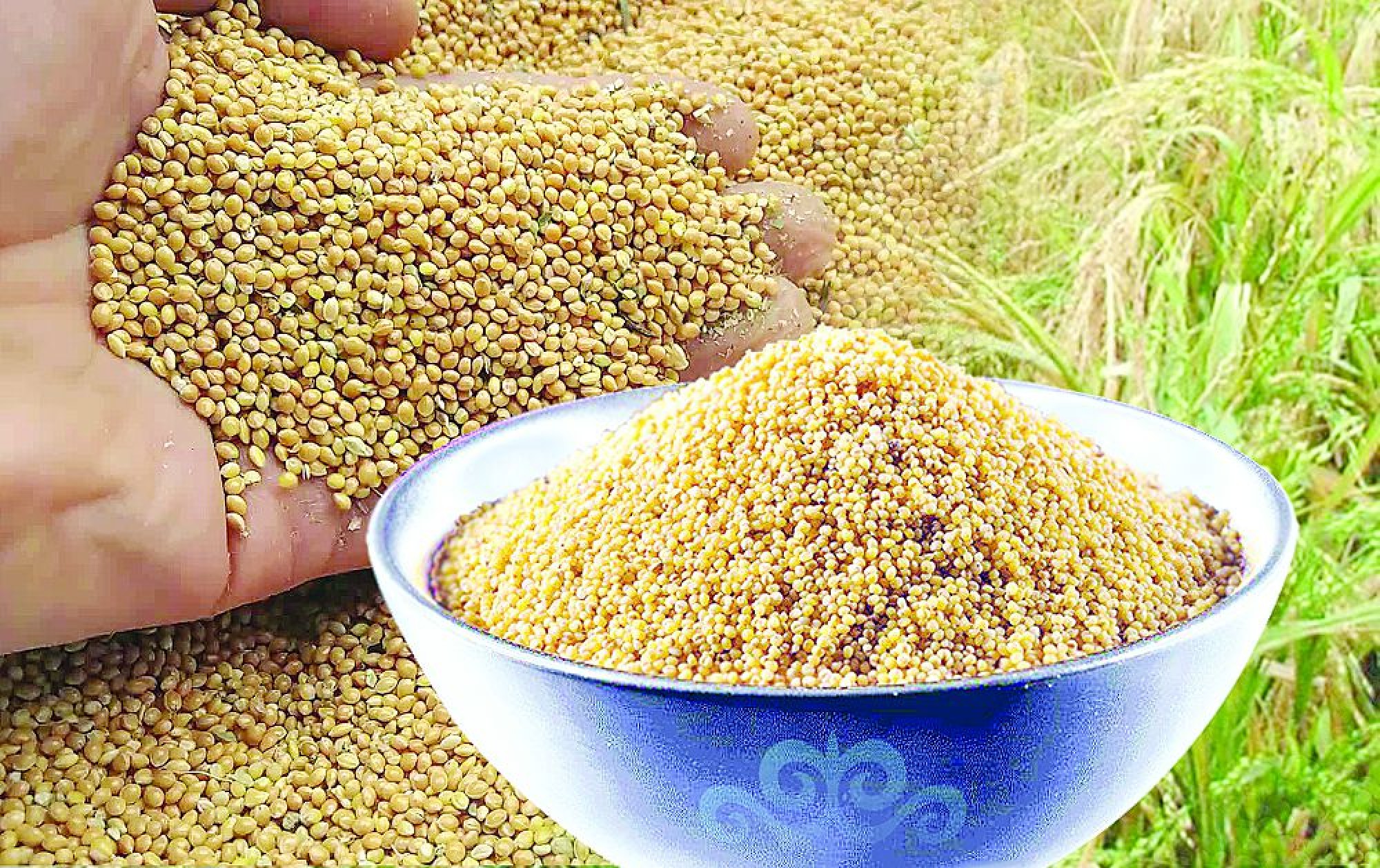 قازاقستاندا تارىنىڭ قالاي پايدا بولعانى انىقتالدى