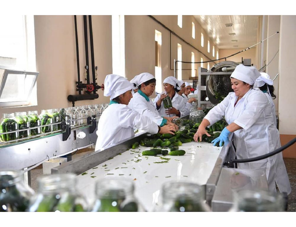 قالا ىرگەسى ازىق-ت ۇلىك بەلدەۋىنە اينالادى