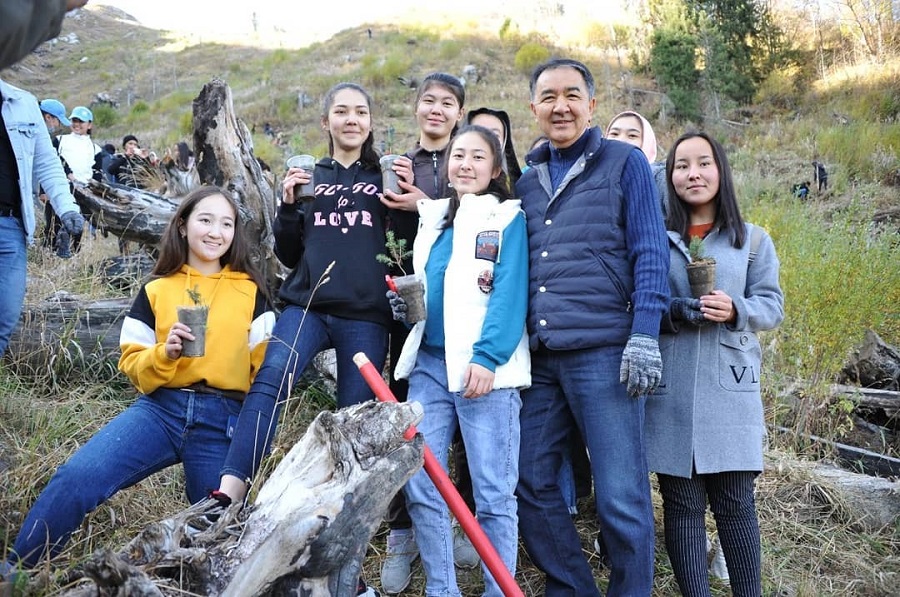 بولاي تاۋىنىڭ باۋرايىنا شرەنكا شىرشاسىنىڭ 50 مىڭ ءتۇپ كوشەتى وتىرعىزىلدى