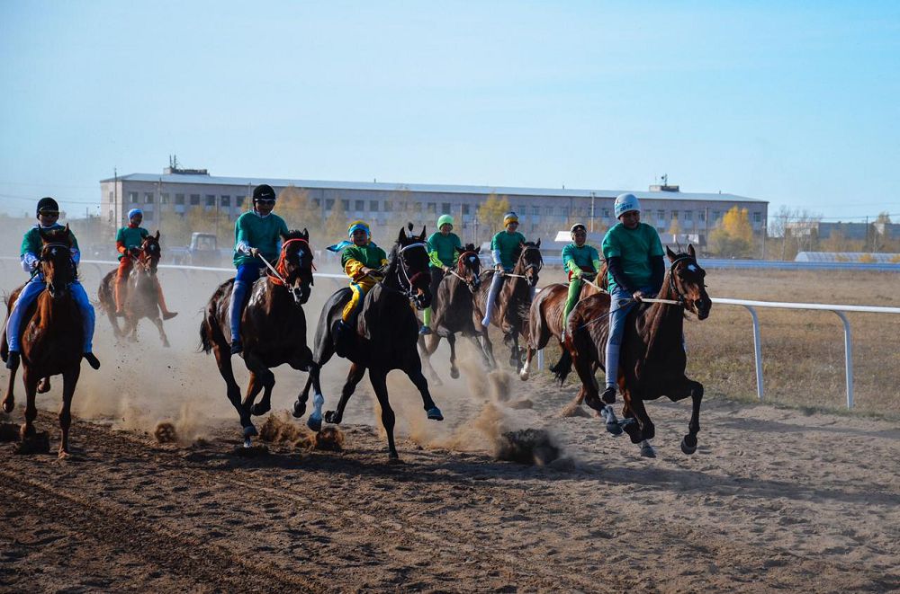 اتىنان ات ۇركەتىن تۇلپارلار