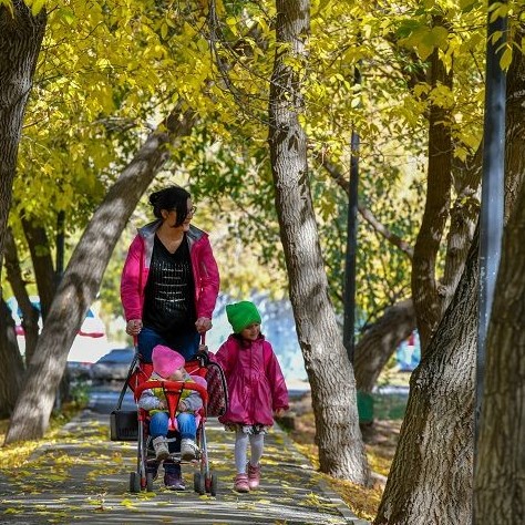 الەۋمەتتىك قولداۋدىڭ كەڭىستىگى كەڭەيۋدە