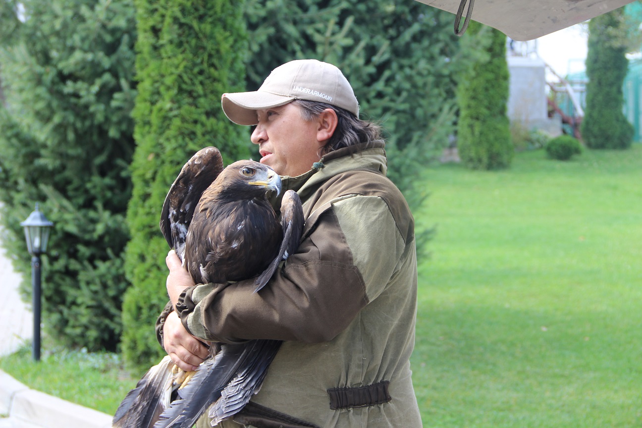 الماتىداعى «سۇڭقار» تالىمباعى بۇركىتتىڭ بالاپاندارىن بوساتتى