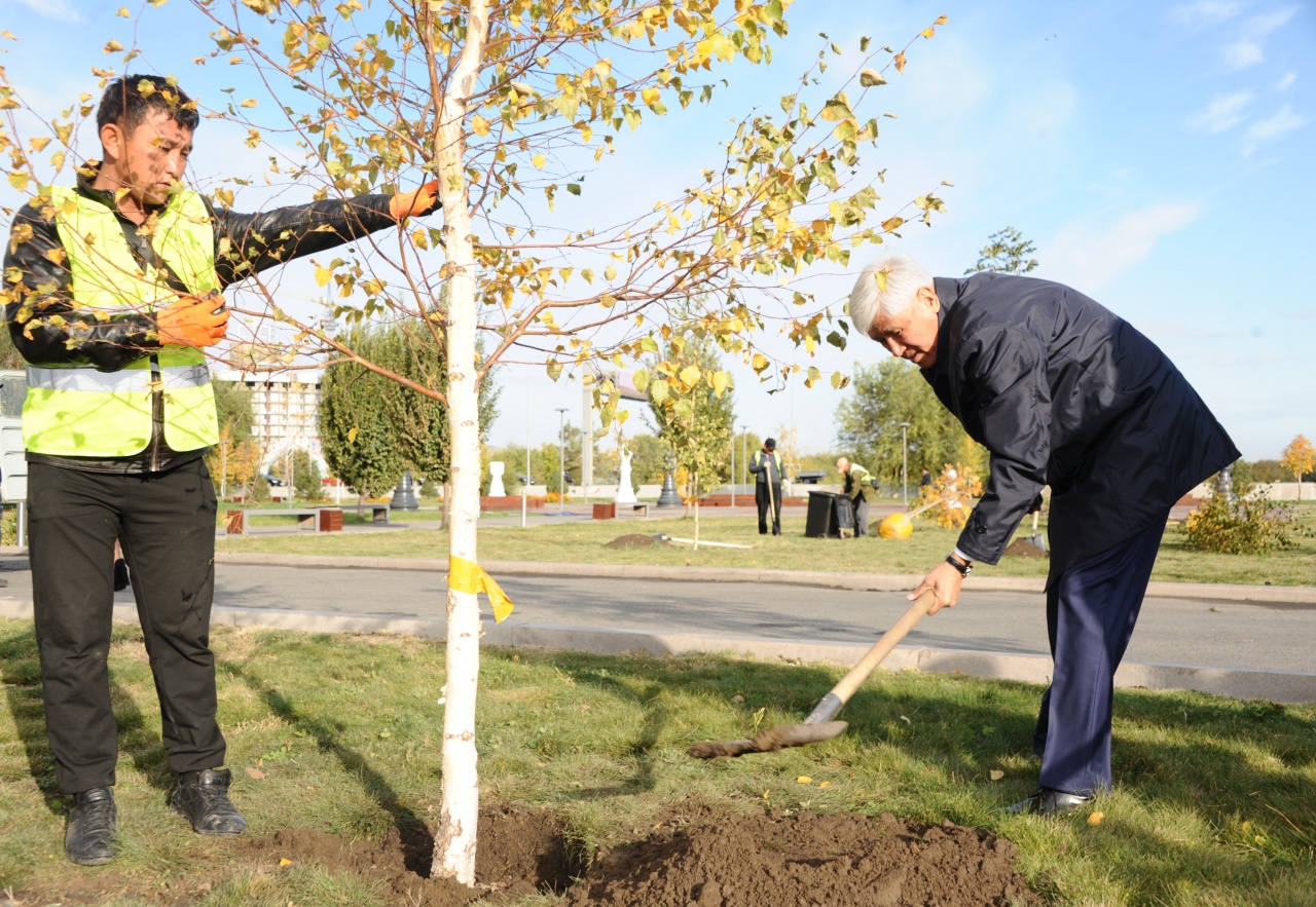 تالدىقورعاندا 5 مىڭ اعاش وتىرعىزىلدى