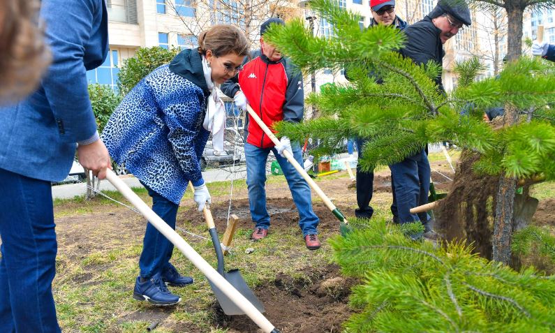 سەناتورلار سەنبىلىككە شىقتى