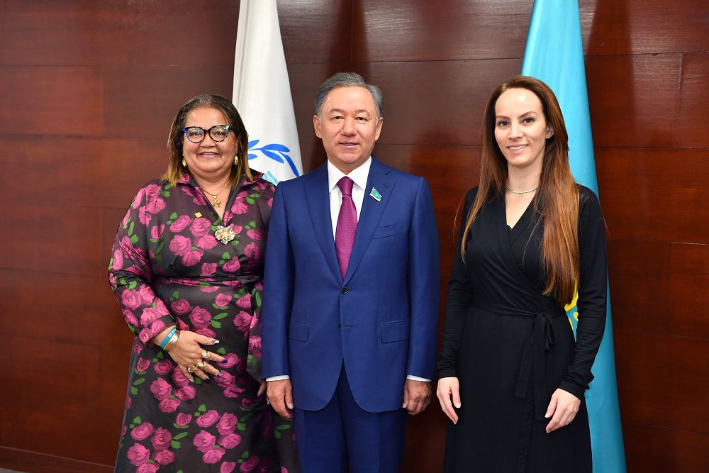 ن.نىعماتۋلين پارلامەنتارالىق وداقتىڭ توراعاسىمەن كەلىسسوزدەر جۇرگىزدى