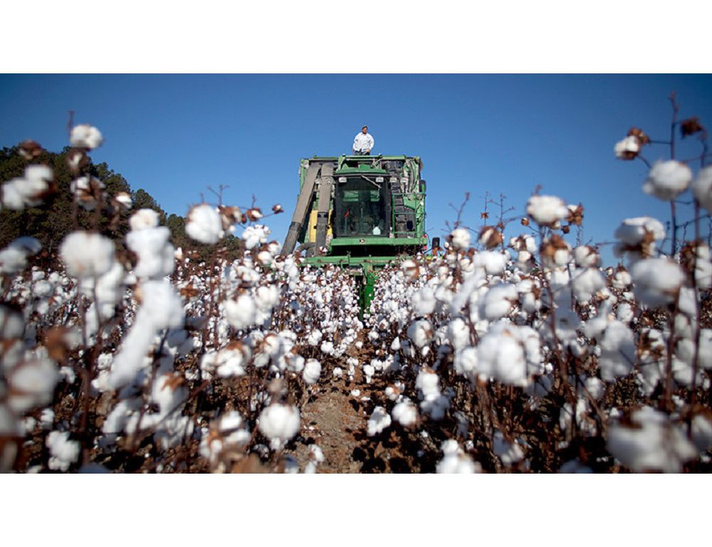 ماقتاعا تامعان ماڭداي تەردىڭ وتەۋى قانداي؟