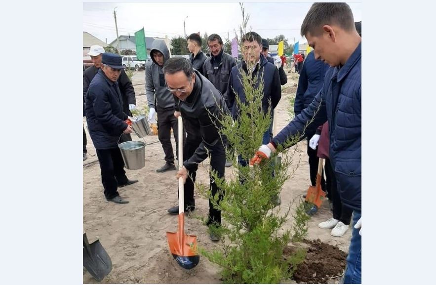 جامبىلدا اعاش كوشەتتەرى وتىرعىزىلدى