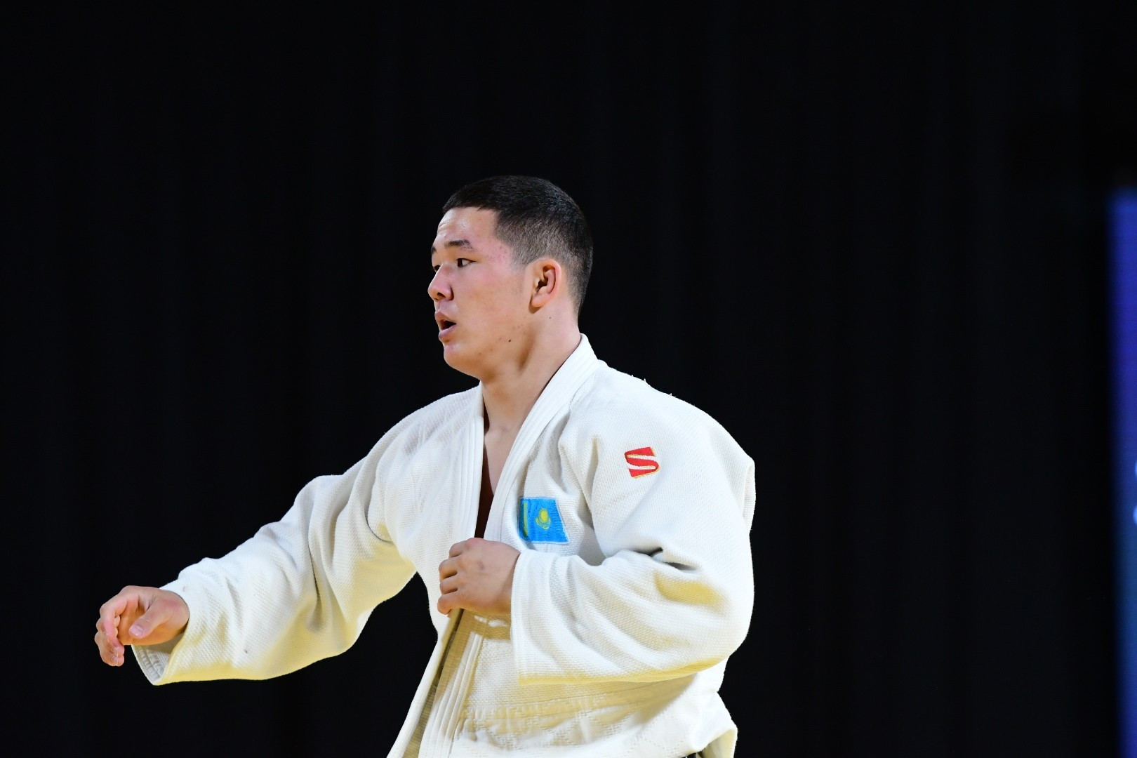 جاستار اراسىنداعى الەم چەمپيوناتىنا قاتىساتىن دزيۋدوشىلار بەلگىلى بولدى