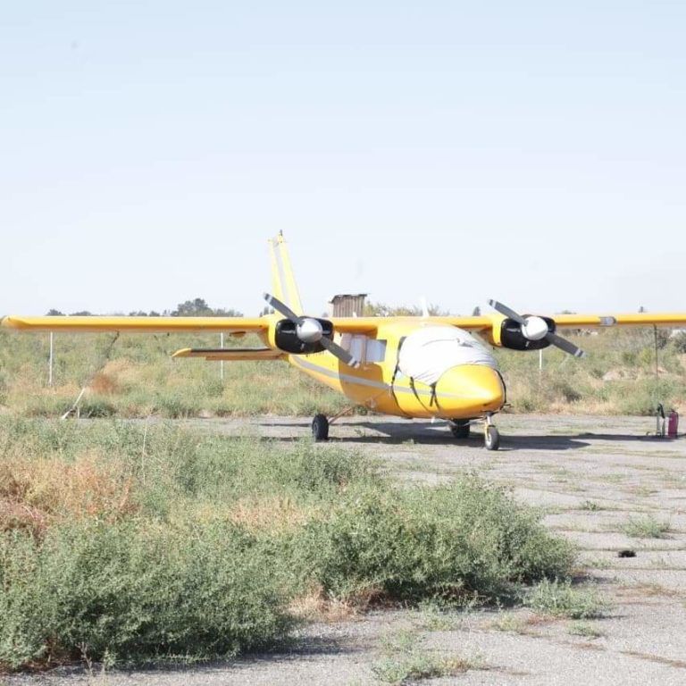 مويىنقۇمعا ۇشاق قاتىنايدى