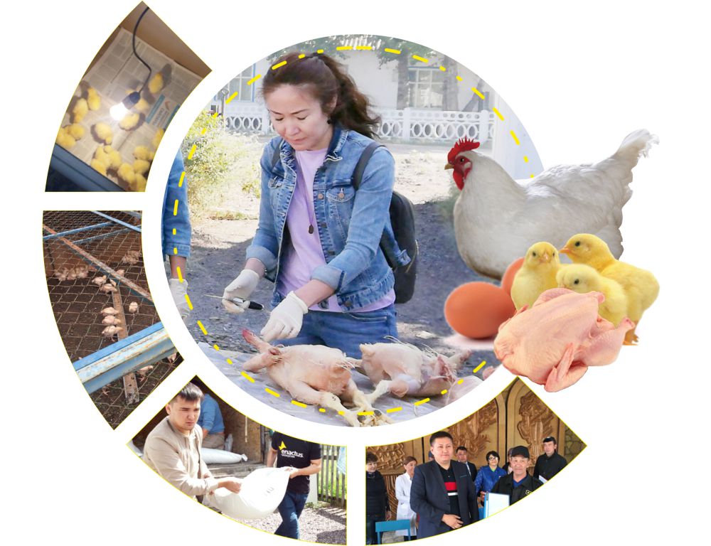 جاڭا جوبا قۇس ەتىن ءوندىرۋدى كوبەيتۋگە كومەكتەسەدى