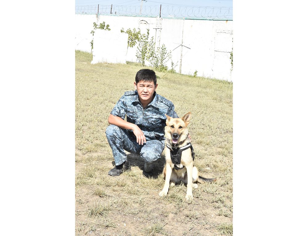 اقتوبەدە جىل باستالعالى كينولوگتاردىڭ كومەگىمەن 270 قىلمىس اشىلعان