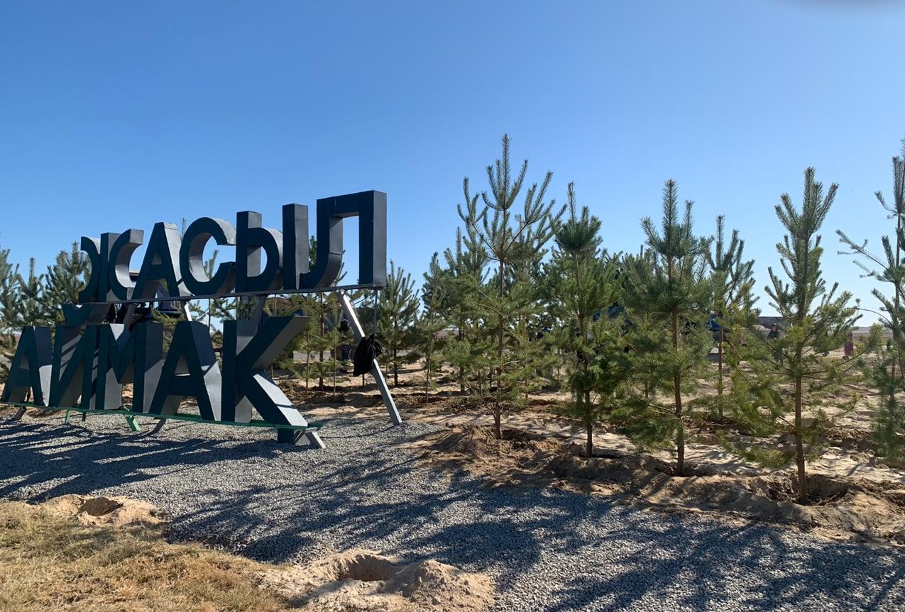 تۇركىستان وبلىسىندا 1304,9 ملن كوشەت وتىرعىزىلادى