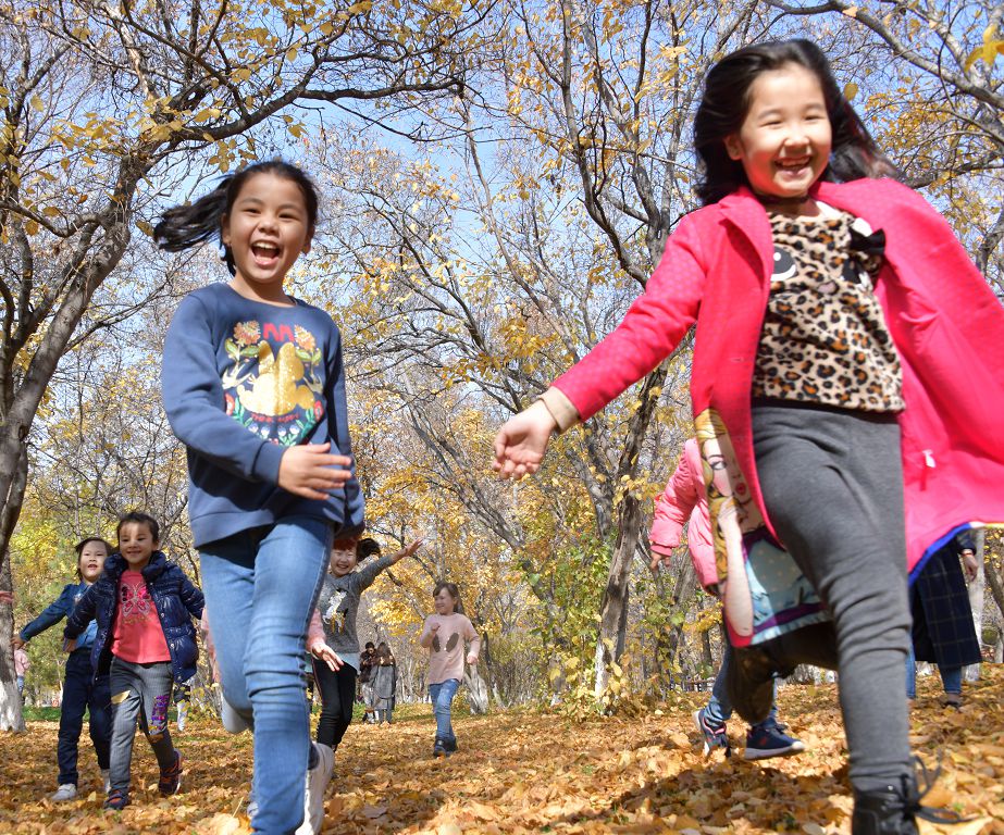 جاڭا الەۋمەتتىك كومەك:وي. پىكىر. ۇسىنىس