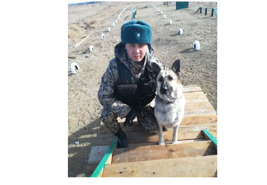 جەزقازعاندا ءيتتىڭ كومەگىمەن ادام ولتىرگەن كۇدىكتى قولعا ءتۇستى