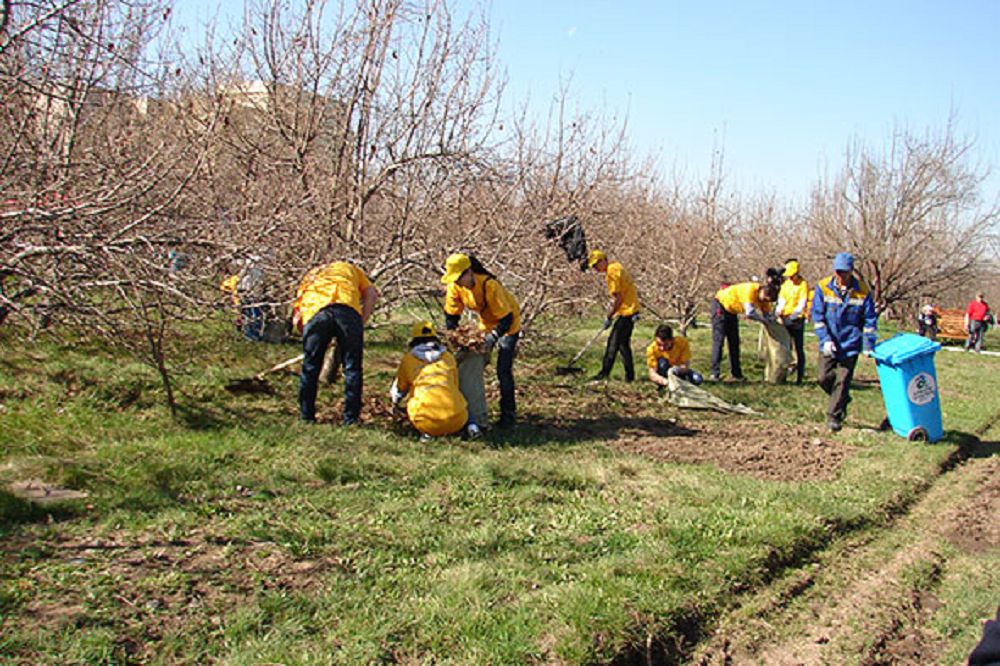 تابيعات تاعدىرى –  ادام تاعدىرى