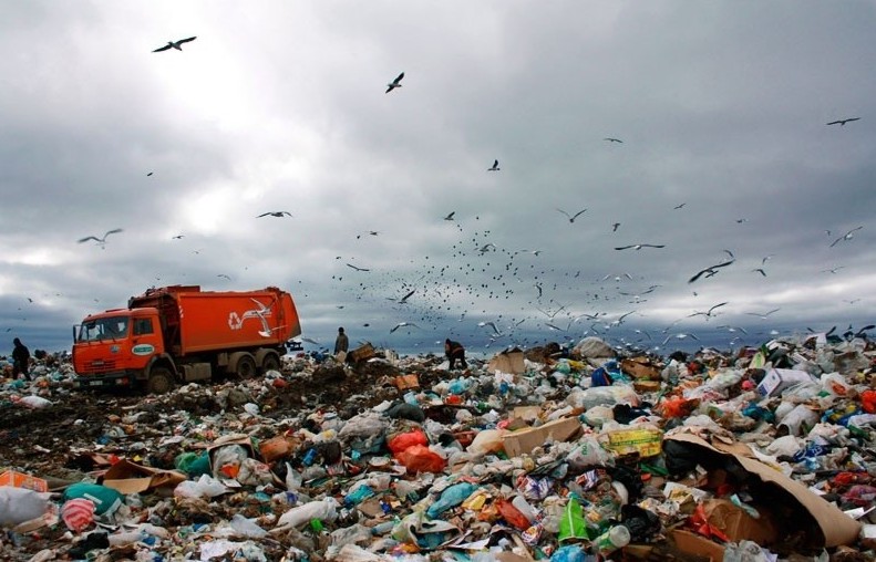 سولتۇستىك قازاقستاندا 900-گە جۋىق زاڭسىز قوقىس الاڭى بار