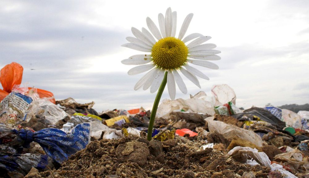 تارباعاتاي ۇلتتىق پاركىندەگى ورماندى ساقتاي بىلەيىك