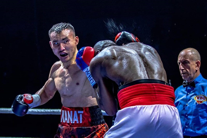 كاسىپقوي بوكس: التىن بەلبەۋ قانات يسلامدا قالدى