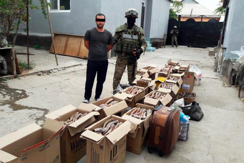 پرەزيدەنت: قاسكويلەر زاڭعا سايكەس قاتاڭ جازاعا تارتىلۋى ءتيىس