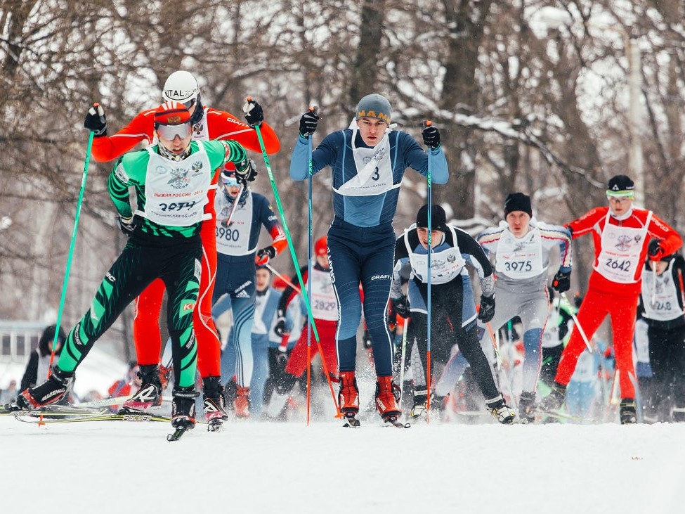 شاڭعى: جاستار فينليانديادا جاتتىعۋدا