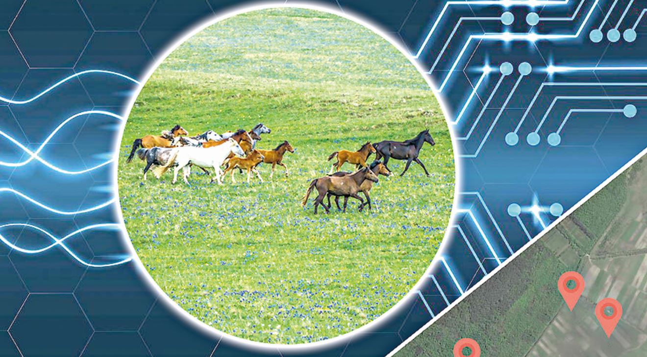 دامۋدى ويلاعاندار تسيفرلاندىرۋعا بەت بۇرادى