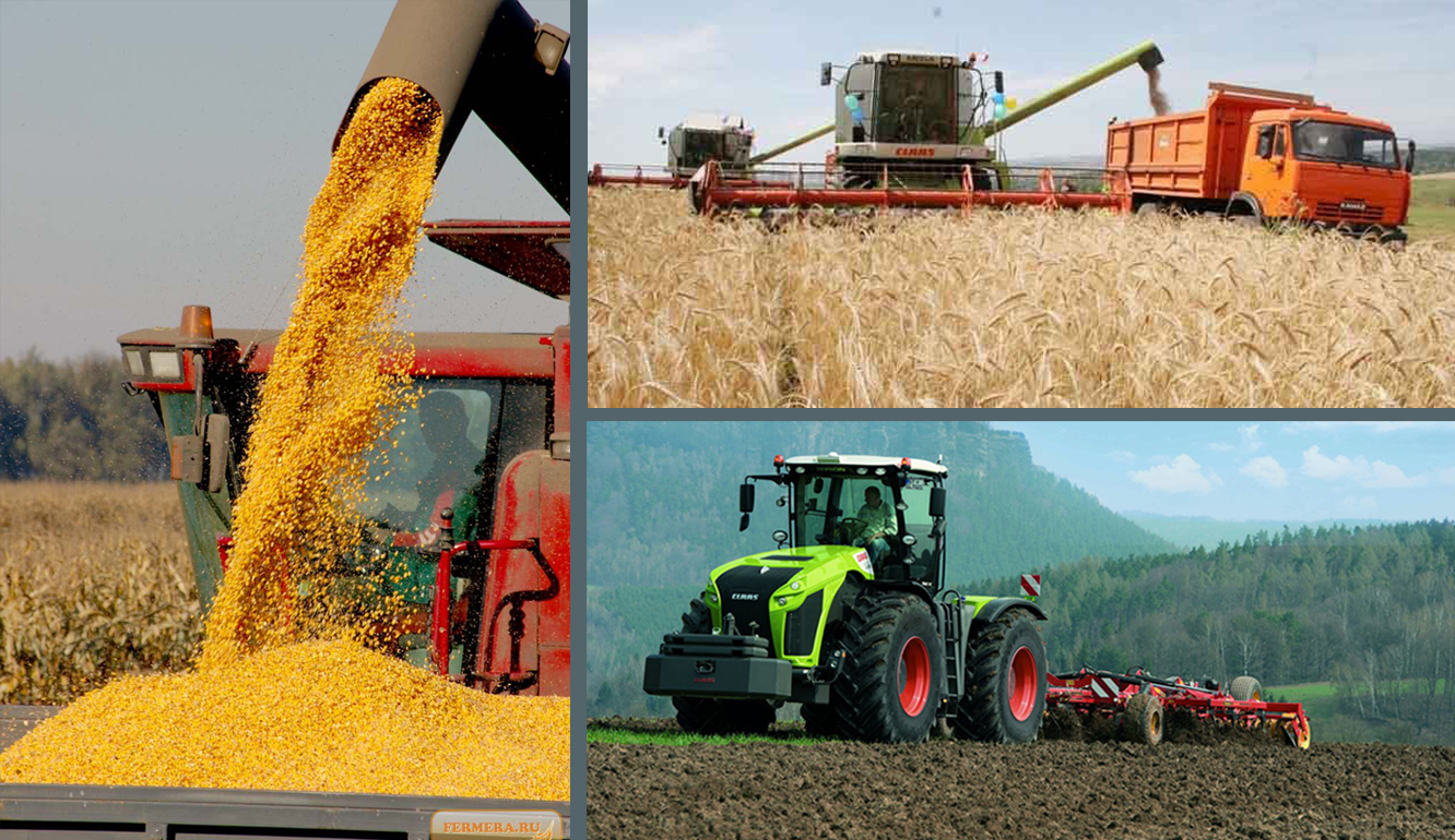 «جەتى مىڭ گەكتار جەرگە ەگىن ەكتىم...»