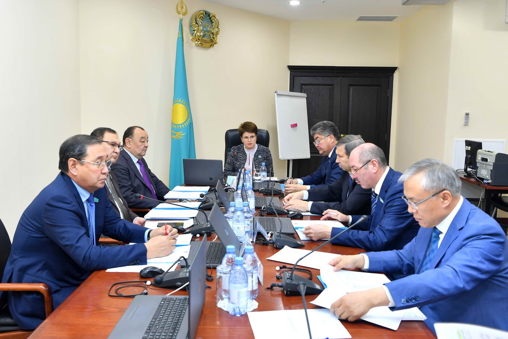 سەناتتا كەدەن ىسىندەگى ىنتىماقتاستىق جانە ءوزارا كومەك تۋرالى زاڭ جوباسى قارالدى