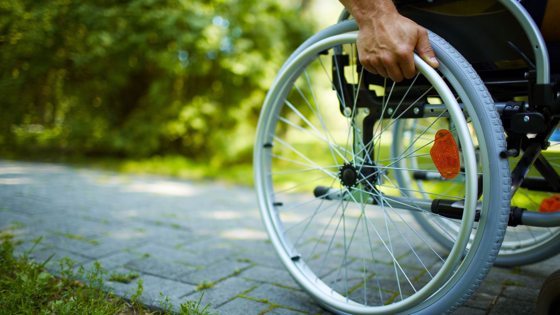 قازاقستاننىڭ ۇزدىك الەۋمەتتىك جوبالارى انىقتالدى