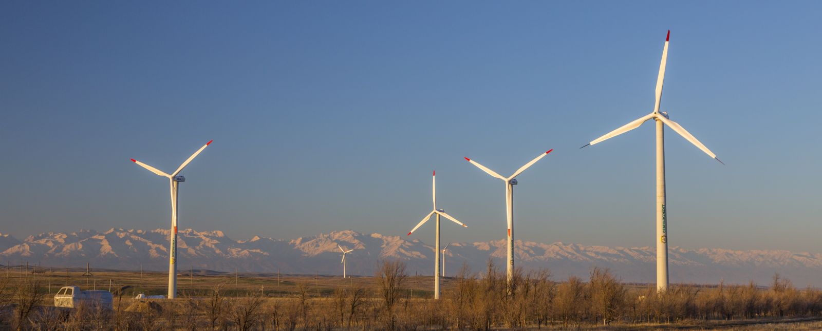 جامبىل وڭىرىندەگى جارقىن جوبا