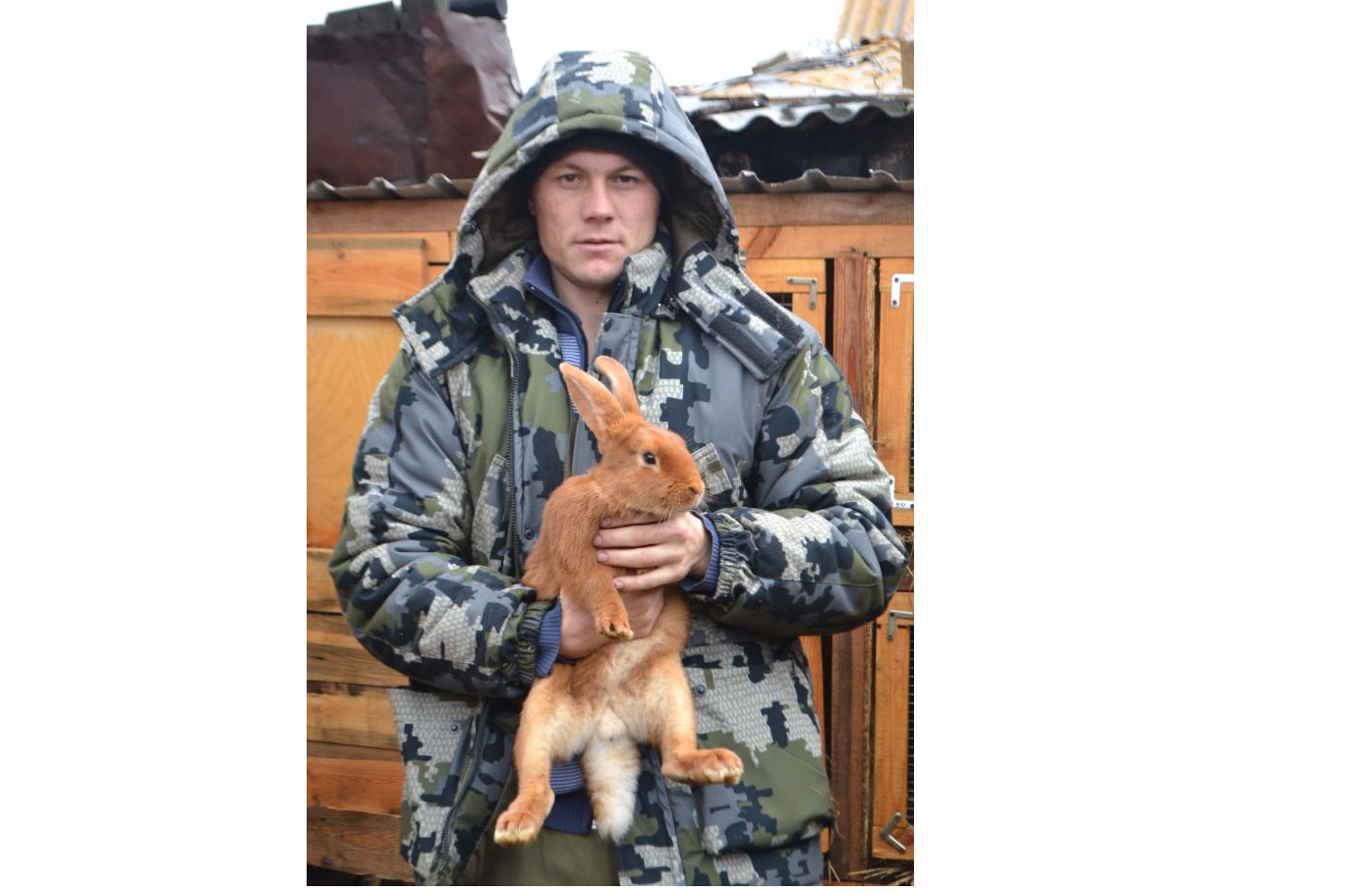 قويان باعىپ تا قوڭدانۋعا بولادى