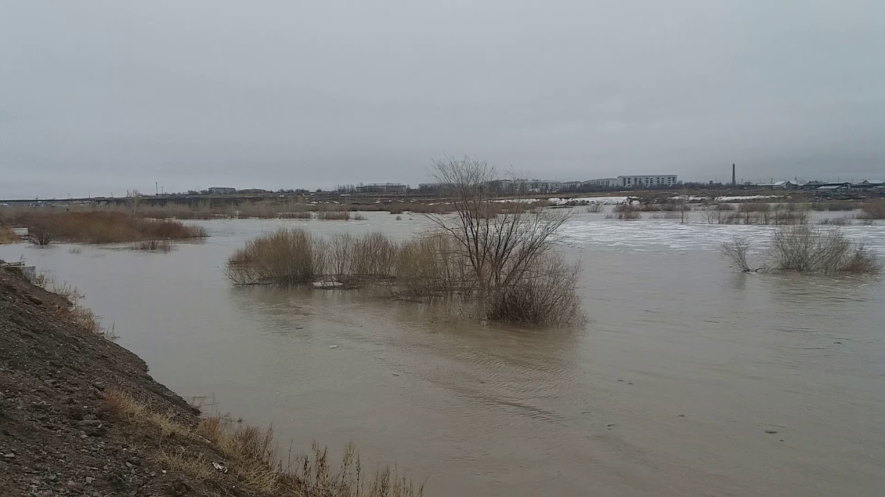 كولدەتىپ سۋارۋدىڭ پايداسى كول-كوسىر