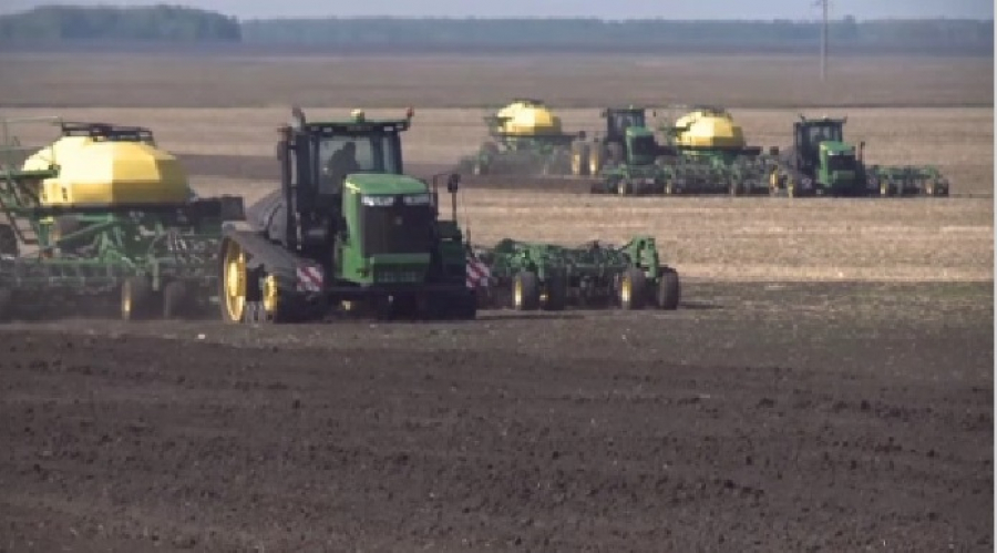 مايلى داقىلدار القابىنىڭ كولەمى 2,5 ەسەگە ءوستى