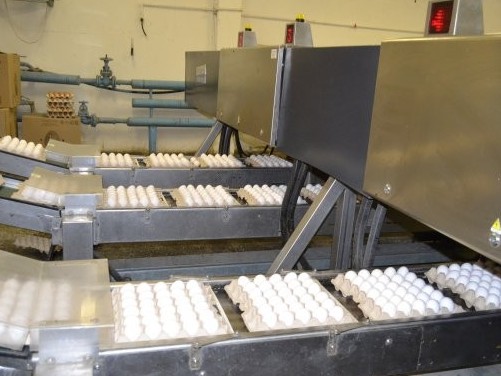 سولتۇستىك قازاقستاندا 75 مىڭ شوجەگە ارنالعان جاڭا كورپۋس ىسكە قوسىلدى