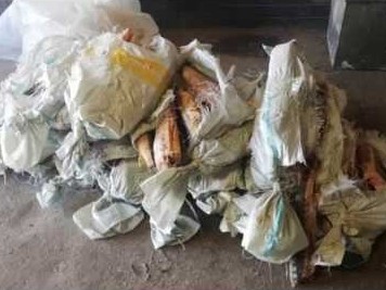 176 كەلى قىزىلبالىقپەن ۇستالدى