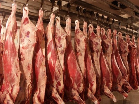 بيىل 10 ايدا جالپى ەت ءوندىرۋ كولەمى 5,5%-عا ارتتى