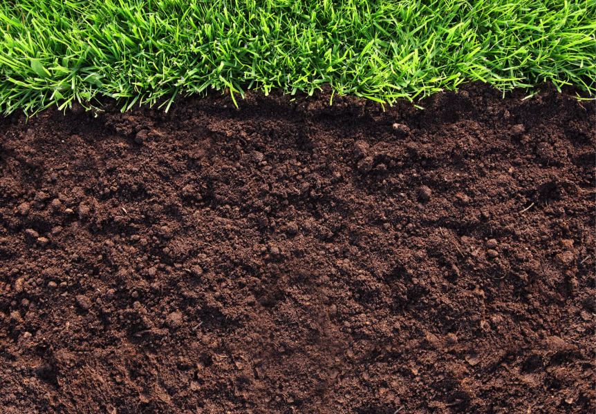 جەر جامىلعىسى سورتاڭعا اينالىپ بارادى