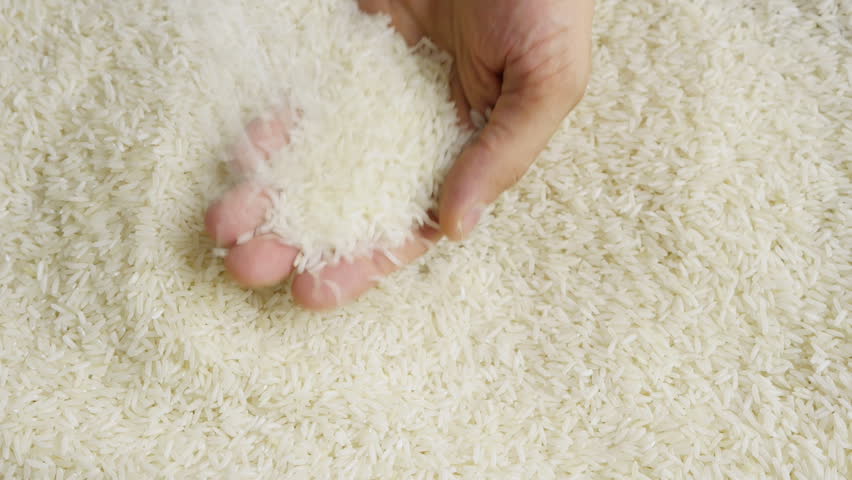 كۇرىش سۇرىپتارى سۇيىلىپ بارادى