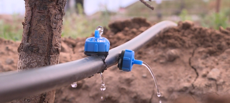 جاڭا جۇيە جاسىل جەلەكتى جايقالتا الا ما؟