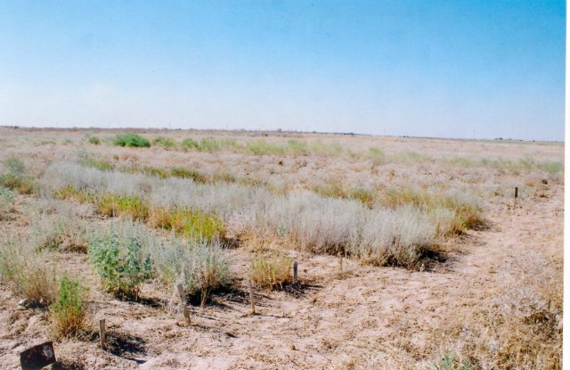 سورتاڭ جەر شارۋاشىلىق سورى