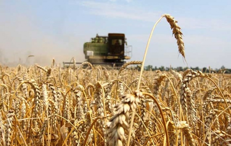 التىن استىق قامباعا تولىق قۇيىلدى