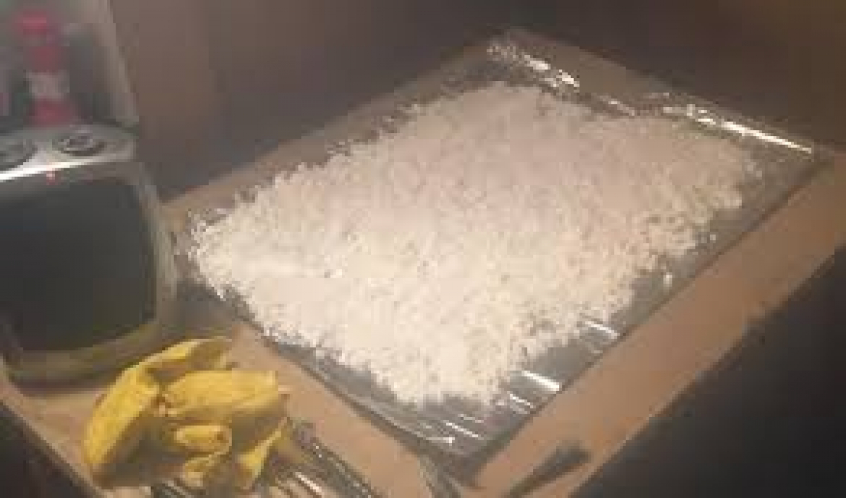 سينتەتيكالىق ەسىرتكى وندىرگەن زەرتحانا جويىلدى