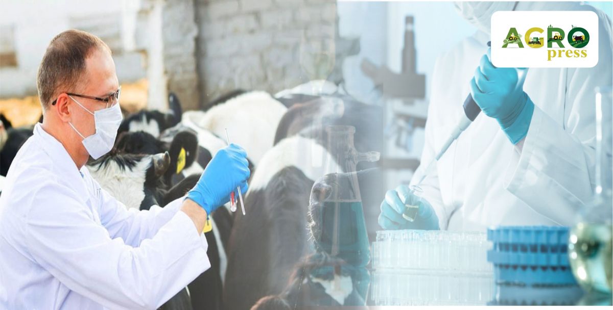 اشم: ۆەتەرينارلىق تەكسەرىس ەسكەرتۋسىز جۇرگىزىلەدى