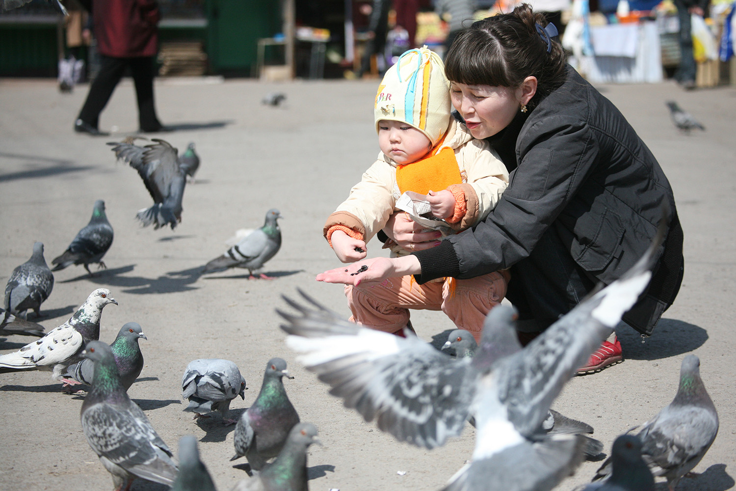 Qorgau جوباسى ازاماتتارعا قولۇشىن سوزادى