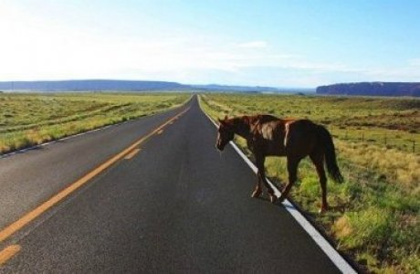 جول ۇستىندە قاتەر كوپ