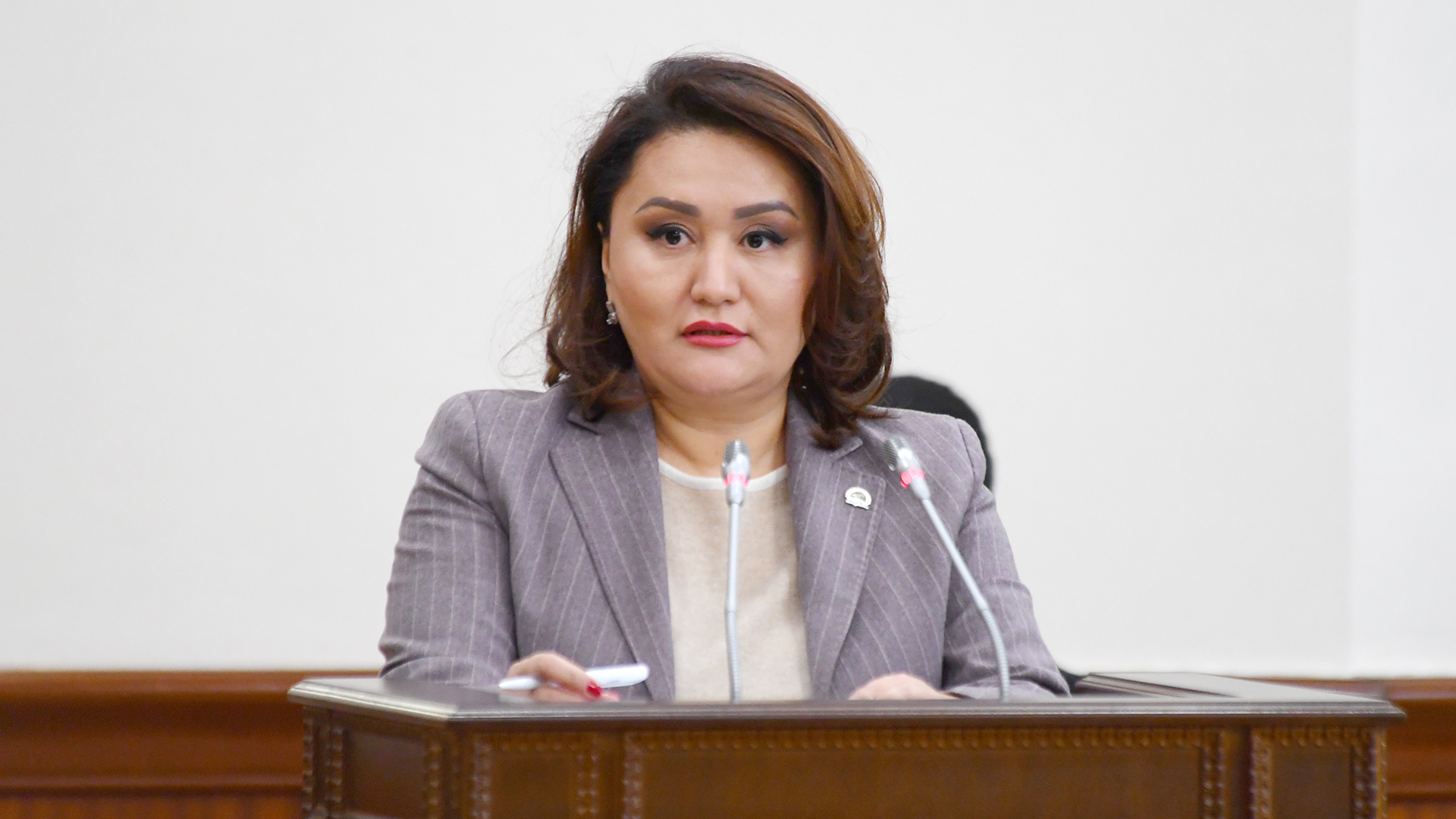 «ازاماتتارعا ارنالعان ۇكىمەت» 10 ايدا 24 ملن استام قىزمەت كورسەتتى