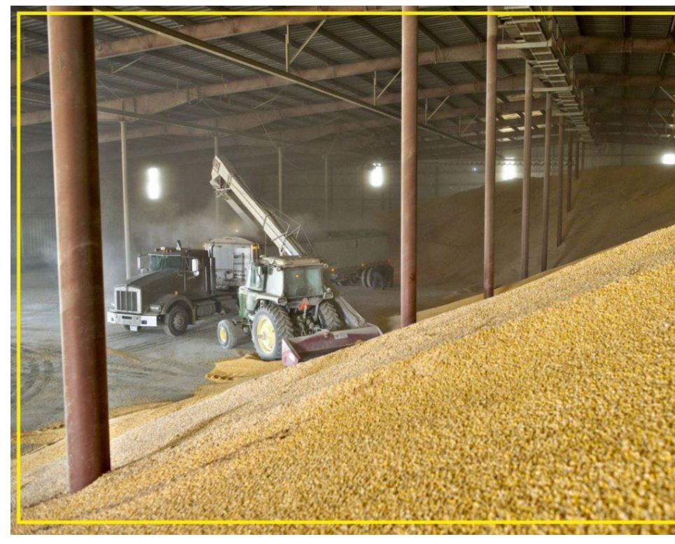 قازاقستان مەملەكەتتىك رەزەرۆكە 350 مىڭ توننا بيداي ساتىپ الدى