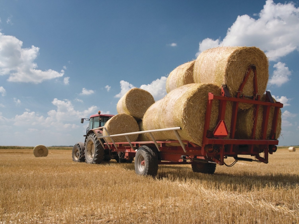 ەڭبەكقورلار ەل ىشىندە