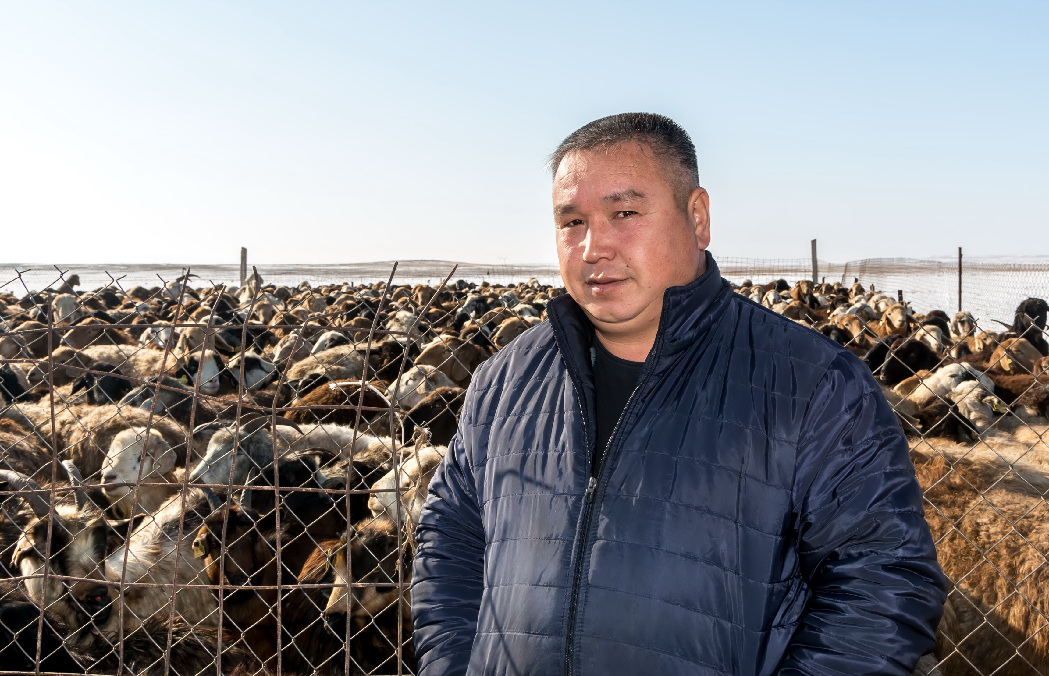 جامبىلدىق شارۋالار قوي ەتى ەكسپورتىنا ۇلەس قوسادى