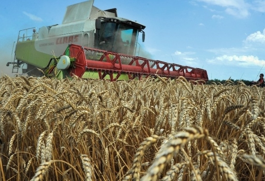 جالعان مالىمەت جارعا جىعادى